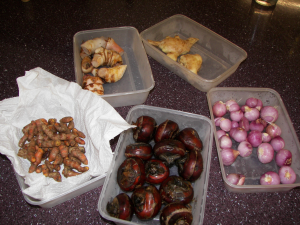 Our haul