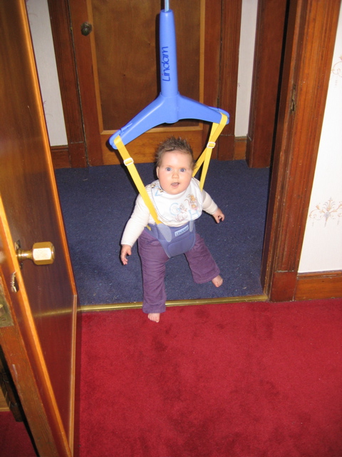 IMG_2800.JPG