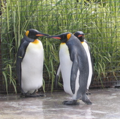 IMG_3818.JPG