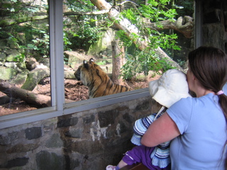 IMG_3825.JPG