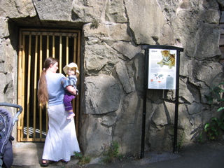 IMG_3832.JPG