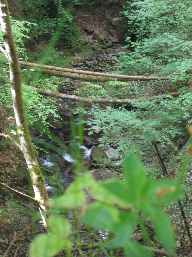IMG_4899.JPG