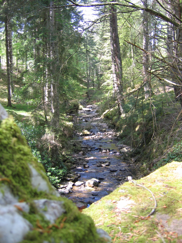 IMG_4912.JPG