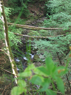 IMG_4899.JPG