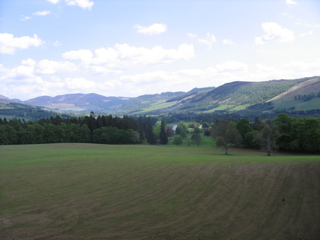 IMG_4918.JPG