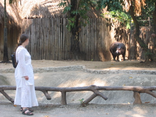 IMG_4549.JPG