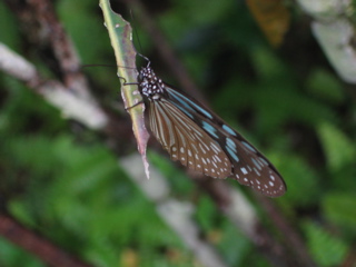 IMG_4660.JPG