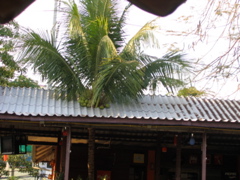 IMG_4275.JPG