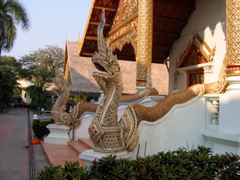 IMG_4117.JPG