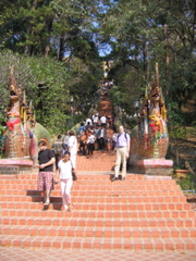 IMG_4609.JPG
