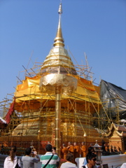 IMG_4617.JPG