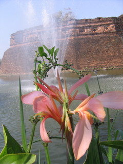 IMG_4215.JPG