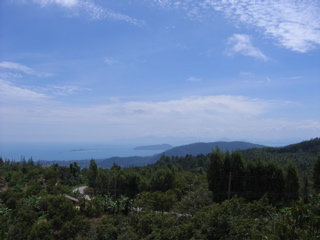 IMG_4700.JPG