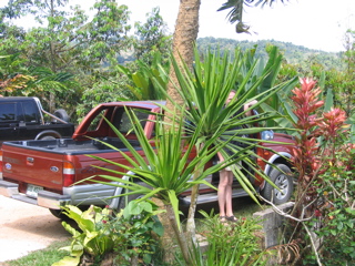IMG_4703.JPG