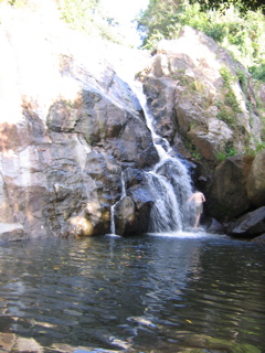 IMG_4722.JPG
