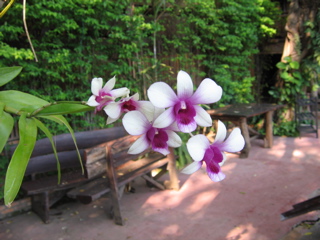 IMG_4228.JPG