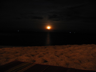 IMG_4648.JPG