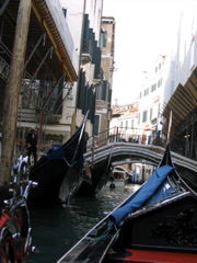 IMG_0865.JPG