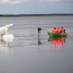 Heather, Jenny, Amy, and Kevin in a rowing boat, with polar bear